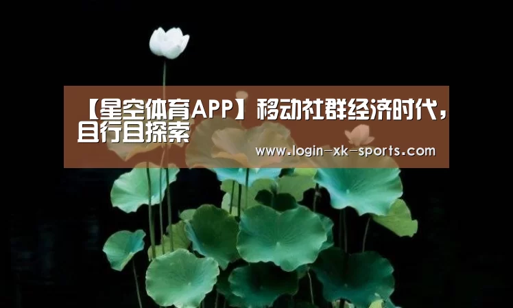 【星空体育APP】移动社群经济时代，且行且探索(图2)